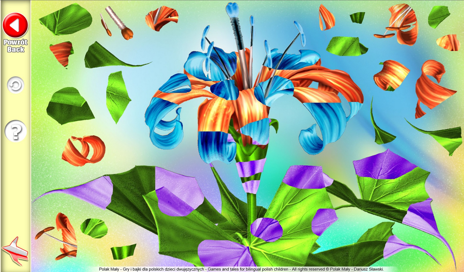 Interactive Web App - Illustration